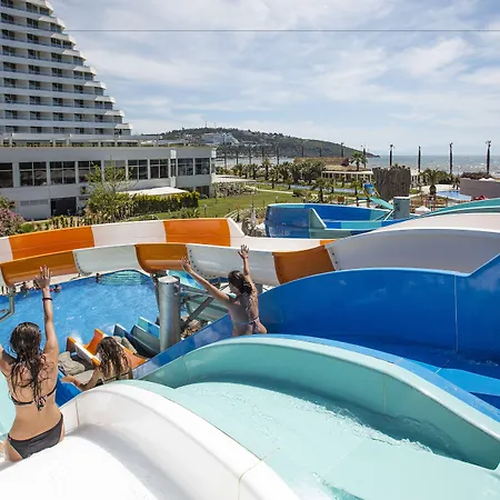 Complex Palm Wings Ephesus