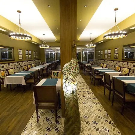 Complex Palm Wings Ephesus